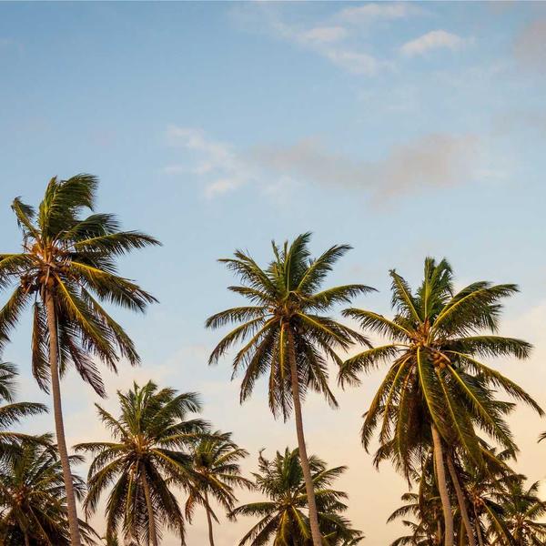 Brume parfumée Fruits d'été